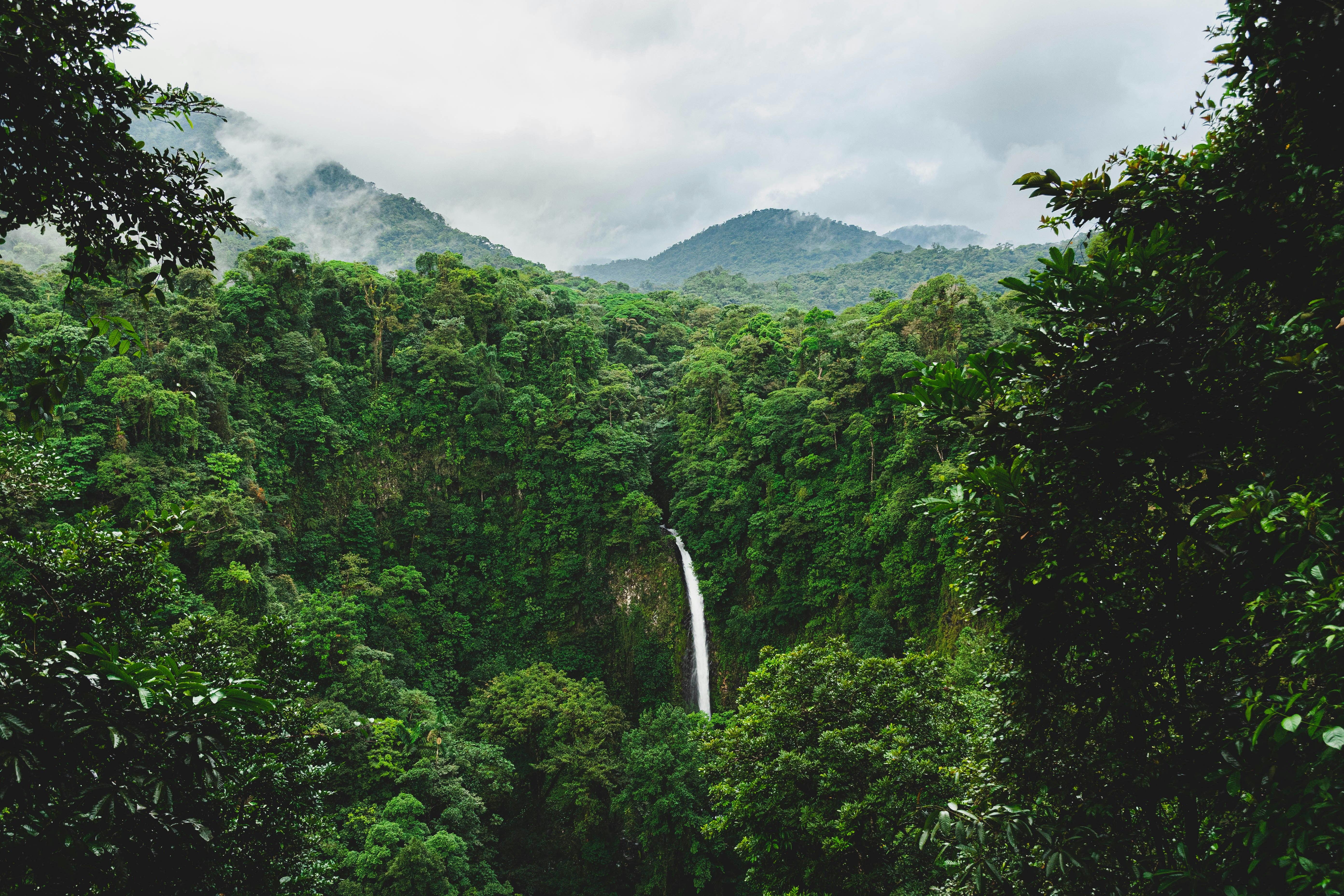 Exclusive Retreats and Group Travel Experiences